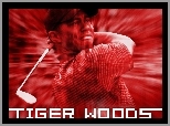 Sportowe Golf, Tiger Woods